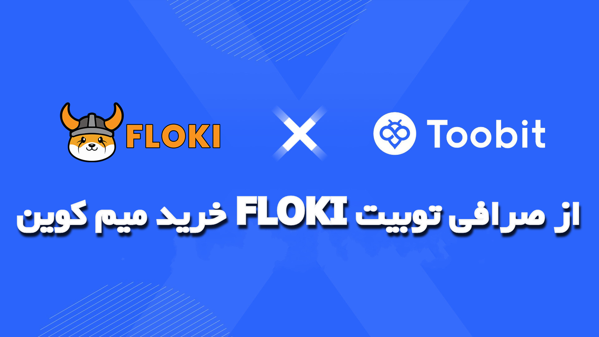 خرید میم کوین FLOKI از صرافی توبیت